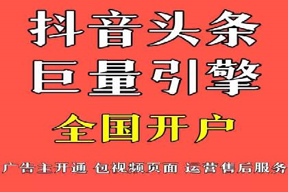 某电商平台的SEM广告投放策略及效果评估